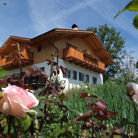 Haus Schlernblick Appartement Deutschnofen Buitenkant foto